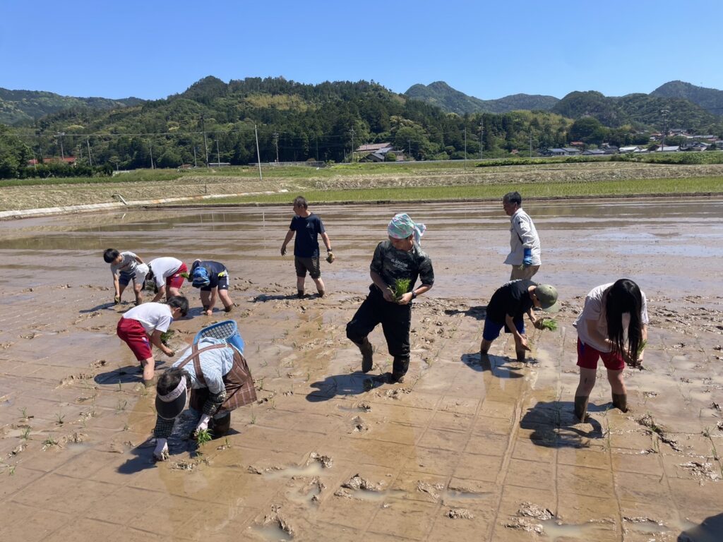 【都万】子どもたちが田植えをしました！【体験】