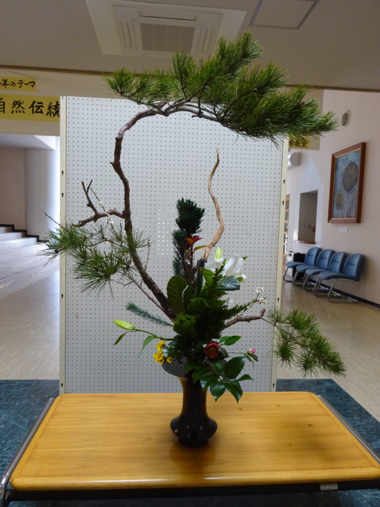 季節の花、展示しています♪